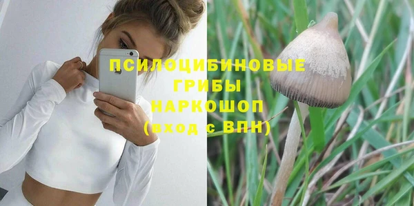 стаф Алексеевка