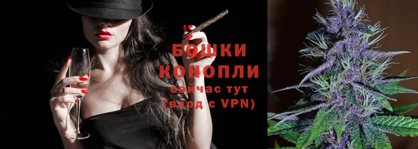 твердый Сосновый Бор