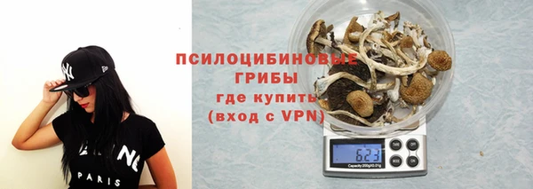 ECSTASY Алзамай
