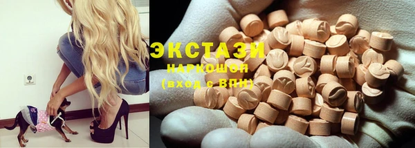 ECSTASY Алзамай