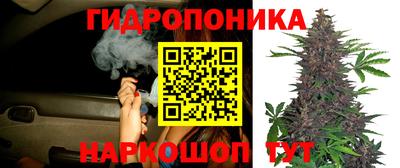 скорость Краснознаменск