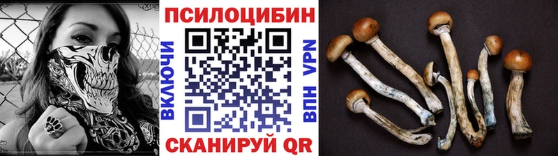 наркотики  Когалым  Галлюциногенные грибы мухоморы 