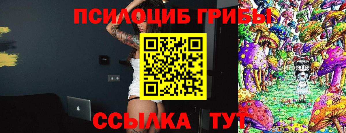 Псилоцибиновые грибы мицелий Когалым
