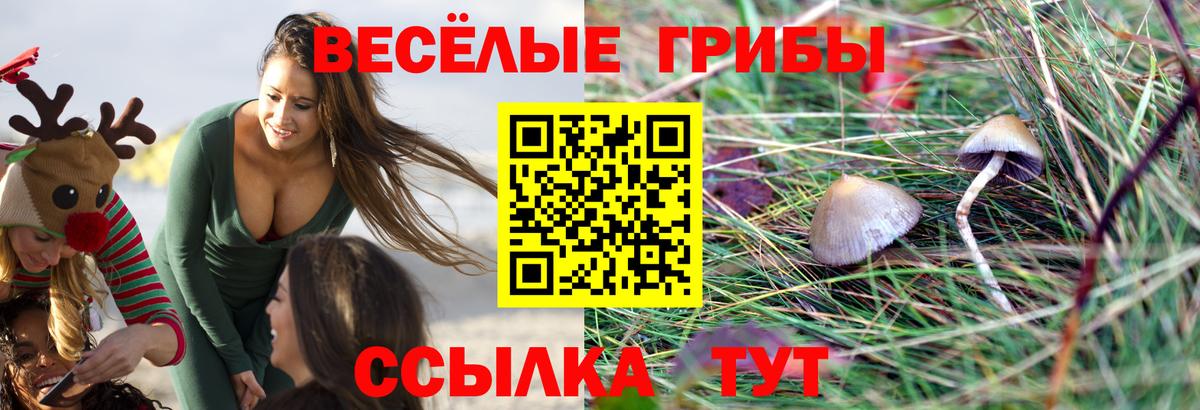 Псилоцибиновые грибы Magic Shrooms  Вход с VPN  Когалым 